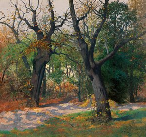 Herfstochtend door Adolf Kaufmann